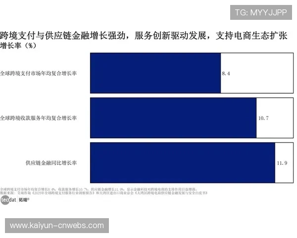 跨境数字营销打通海外市场 国际用户占比提升百分之十